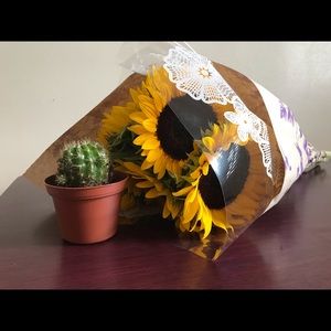 Meet your Posher, Yvette